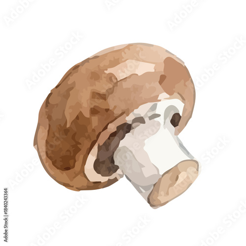 Watercolor-style mushroom illustration／マッシュルーム