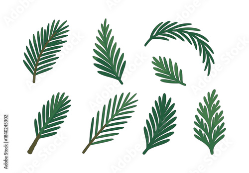 Pine branch set, flat vector illustration, green leaves, evergreen, needles