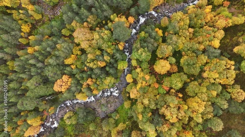 Aerial view of a stream flowing through autumnal trees in the cairngorms of scotland. 