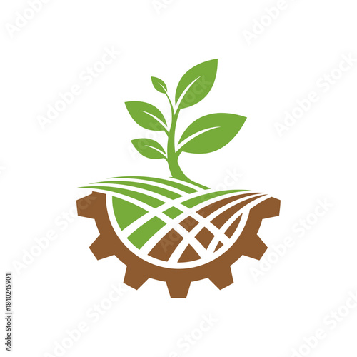 green plant in a pot