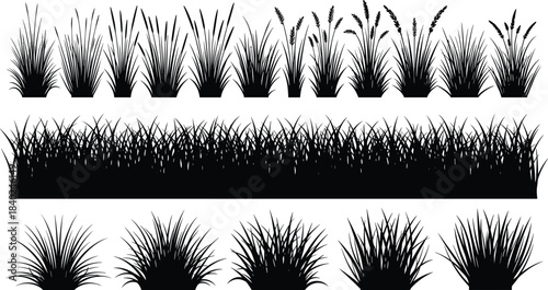 Cheerful young business professional woman smiling, working on laptop computer in bright, modern office, illustrating successful freelance creative remote work lifestyle.