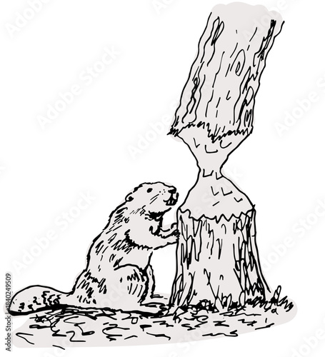 A beaver gnawing tree trunk. Hand drawn vector illustration.