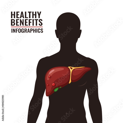 An infographic showing a human torso silhouette with a detailed illustration of a liver, highlighting its position and appearance within the body.
