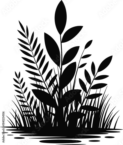 Wild Tropical Plants Grass Silhouette
