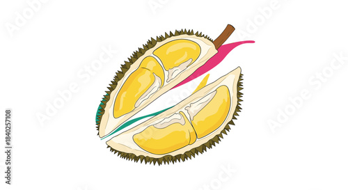 A cross-section view of a thorny durian fruit, split open to reveal its creamy yellow flesh, known as the \.