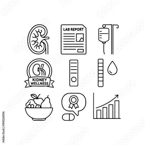 Kidney health and wellness line icons, medical tests and data