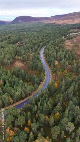 Aerial view of a road forming a s curve through the forst in scotland.
