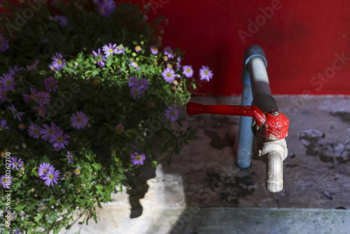 Tranquil garden scene showing an outdoor water tap on red wall next to purple flower. bright summer sunlight creates strong shadow, evoking warm, peaceful day