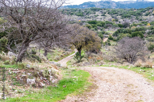 Menalon trail, 75 km trekking in Arcadia, Peloponnese, Greece, Europe