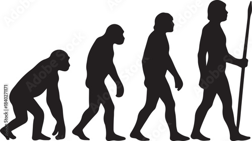 human evolution silhouette vector