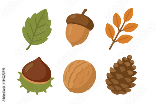 Autumn elements collection featuring various natural seasonal items like leaves, acorns, chestnuts, walnuts, and pine cones in a simple flat illustration style.