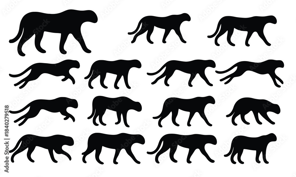 Obraz premium Cheetah silhouette sequence animation on isolated background.