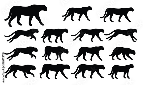 Cheetah silhouette sequence animation on isolated background.