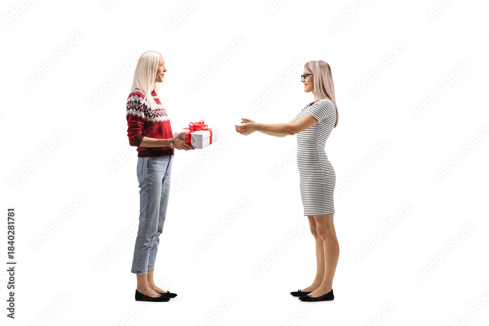 Fototapeta premium Young woman giving a present to a female friend