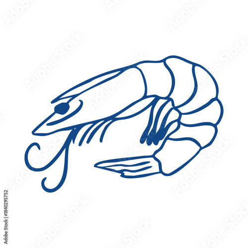 Shrimp in a sketch style, with loose and irregular lines, hand-drawn in a doodle format. Seafood. Vector illustration