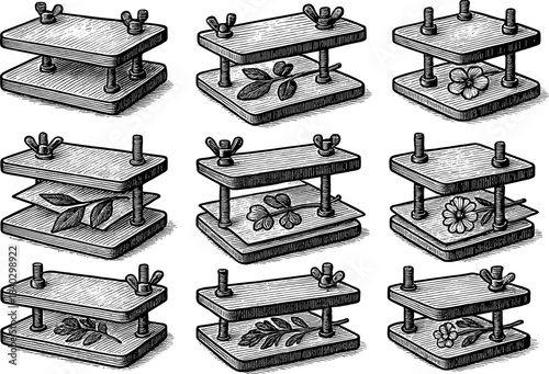Vintage botanical flower presses in engraved style for nature enthusiasts and crafters