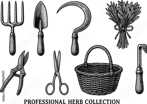 Vintage gardening tools and herbs collection in engraved style