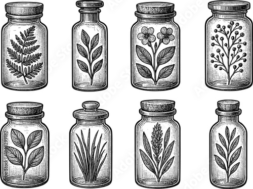 Vintage botanical jars with floral elements in engraved style