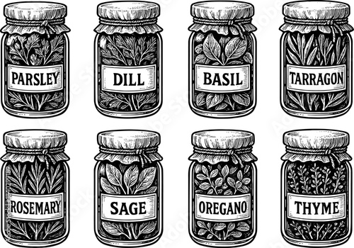 Vintage herb jars collection: parsley, dill, basil, tarragon, rosemary, sage, oregano, thyme