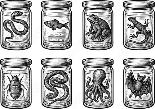 Hand-drawn creatures in jars: vintage style collection featuring animals in glass containers