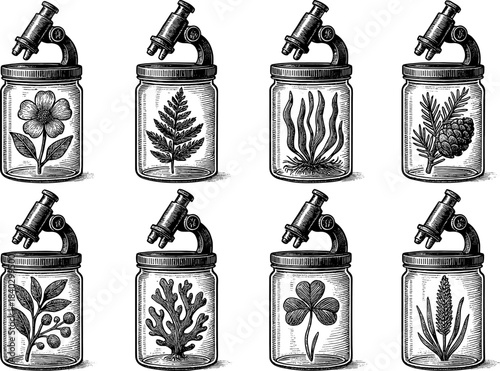 Vintage botanical jars with microscopes: nature elements in engraved style