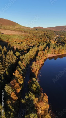 Aerial view of lake in lush forest during golden hour.