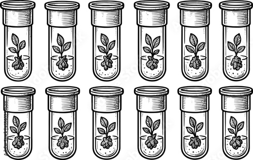 Hand drawn botanical experiment with seedlings in test tubes