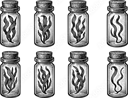 Vintage inked bottles with seaweed: set of eight detailed nature designs