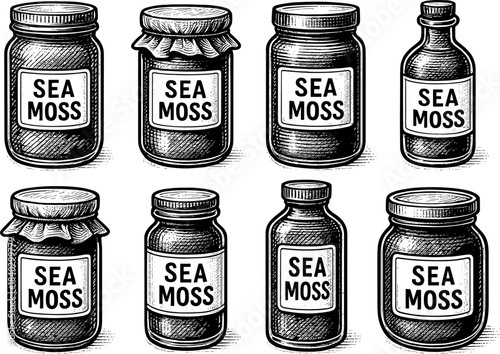 Vintage engraving of sea moss jars collection with hand drawn style