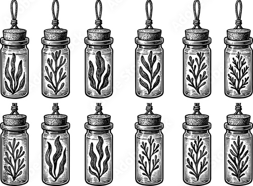 Vintage inked herb bottles collection: intricate hand drawn botanical designs