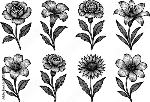 Intricate black and white floral designs featuring roses, lilies, and sunflowers