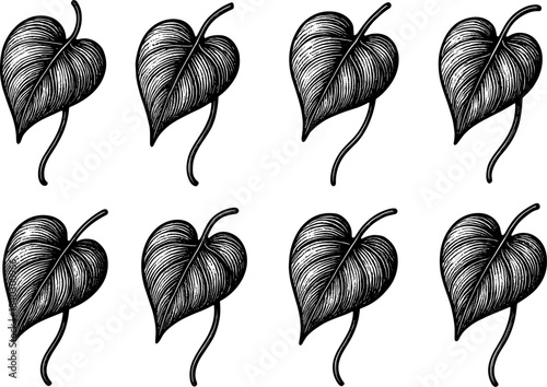 Intricate hand drawn heart shaped leaves pattern on white background