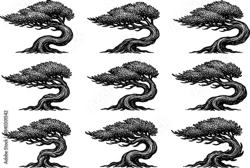 Set of hand-drawn bonsai trees in vintage woodcut style