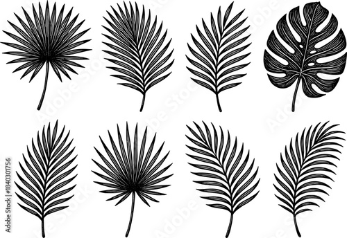 Hand-drawn exotic tropical leaf collection in black and white