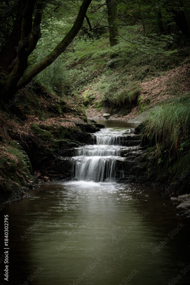 Fototapeta premium Waterfall landscape in the forest