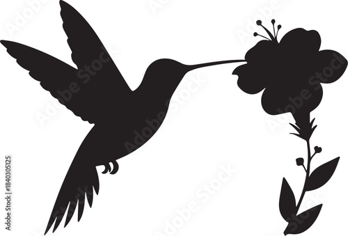 A silhouette of a hummingbird in flight feeding from a blossoming flower