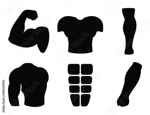 Silhouette icons of muscular anatomy: arm, leg, abs, torso