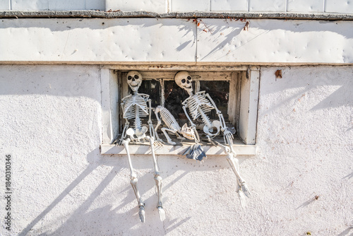 A view of skeletons in a window