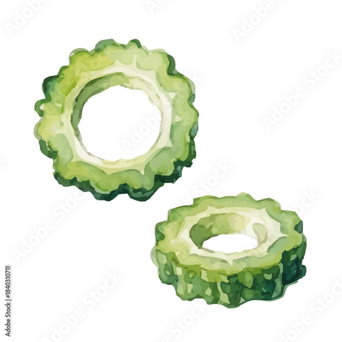 Watercolor-style bitter melon illustration／ゴーヤ