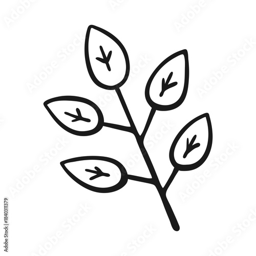 Hand Drawn Simple Leaf Branch Doodle