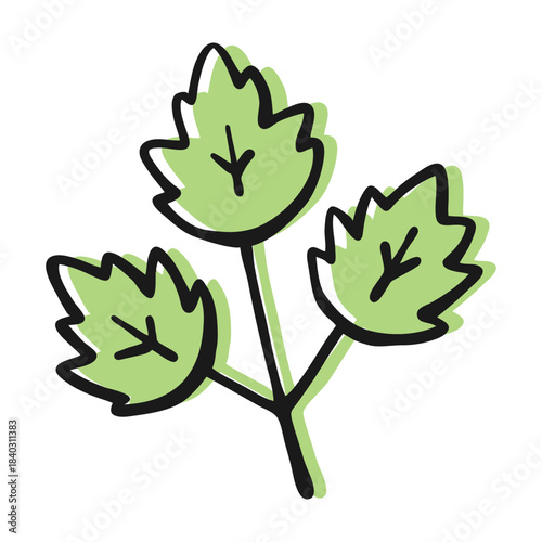 Hand Drawn Simple Green Herb Illustration