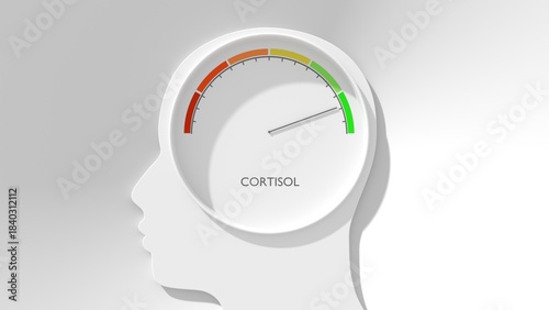 Fluctuation of the hormone cortisol concentration in humans. Cortisol secretion. Gradient scale. Hormone level measuring device as human head. 3D render