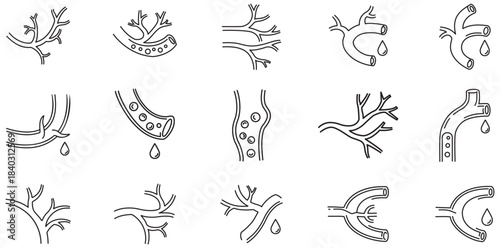 Blood Vessels Diagram A detailed, artistic illustration of diverse blood vessel structures, highlighting their unique branching patterns and functional roles within the human body. 