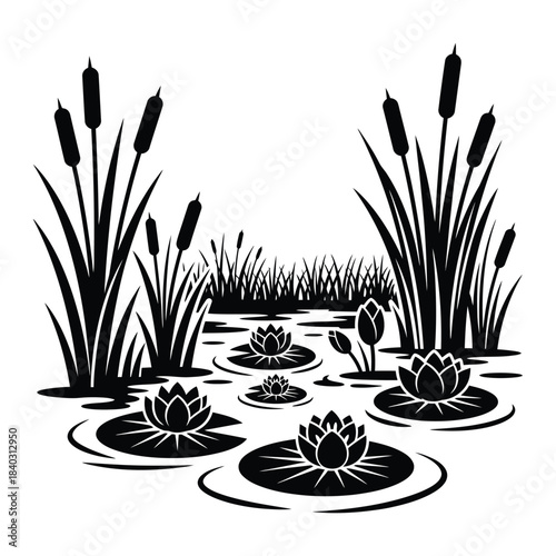 Pond with water lilies and cattails silhouette pond, water lilies, cattails, reeds