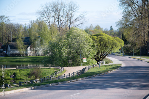 Sunny Road Curve Beside Spring Trees
