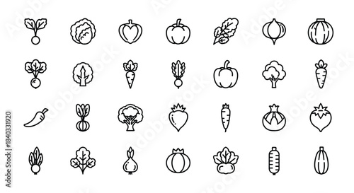 Set of vegetable icons in line style, including carrot, cabbage, pepper, pumpkin, and more isolated on