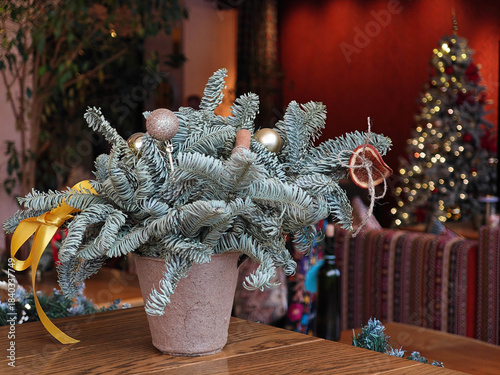 Christmas tree decor in warm public interior with close-up ornament details.