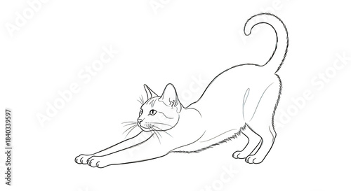 White line art cat stretching on black background feline