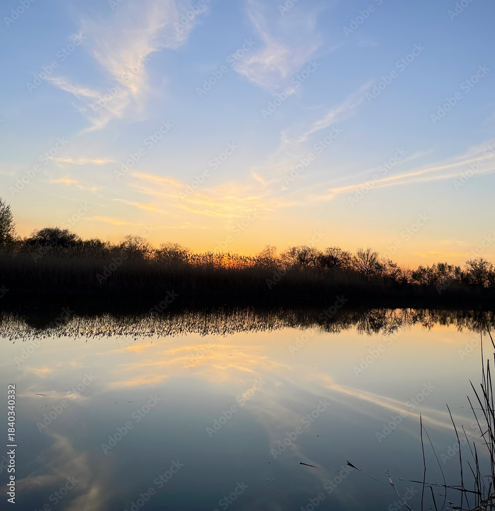 Fototapeta premium The sun sets behind trees, casting vibrant colors on the lake's still surface at dusk