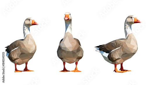 Three geese in low poly art style displaying different poses on white background